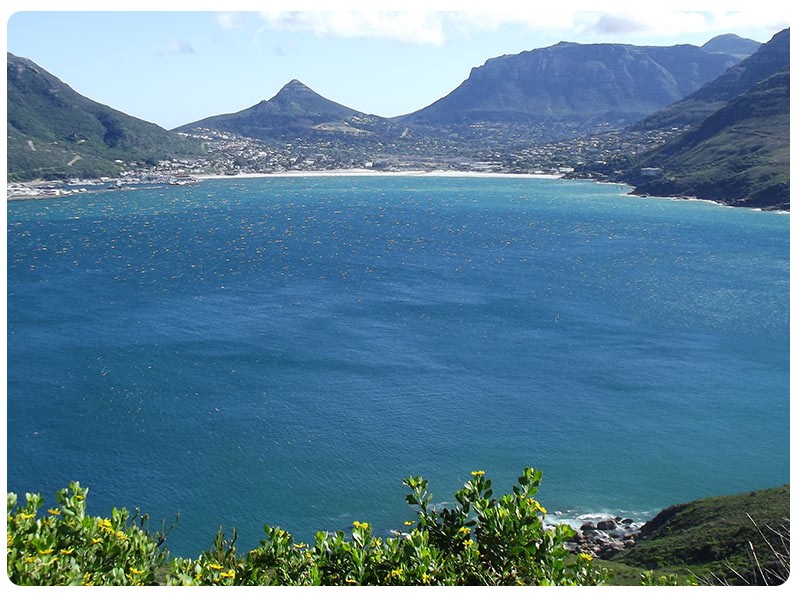 BOKKEMANSKLOOF ESTATE